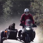 Ül, marad, motorozik – Kutyák az oldalkocsiban
